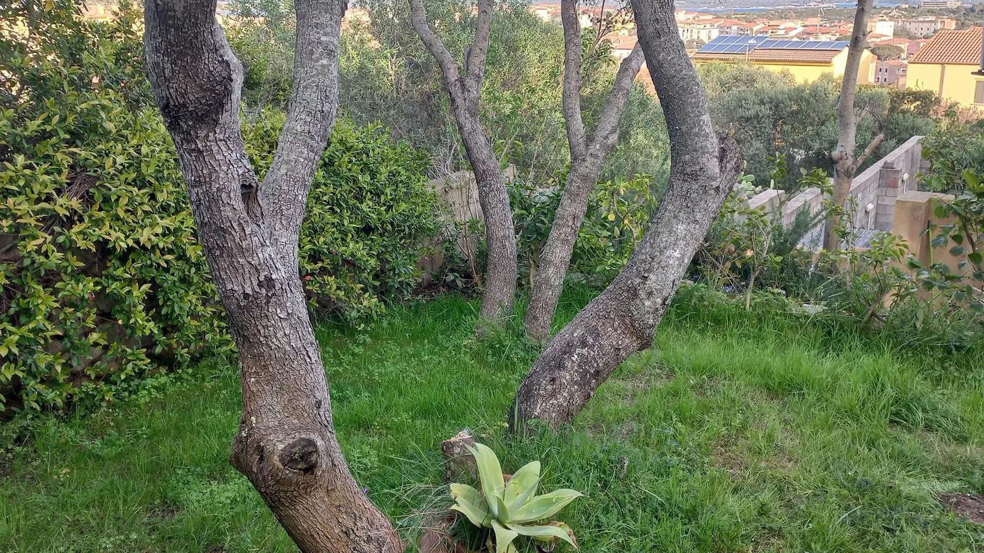 Villa Graziella La Maddalena  0*, La Maddalena (Sassari)
