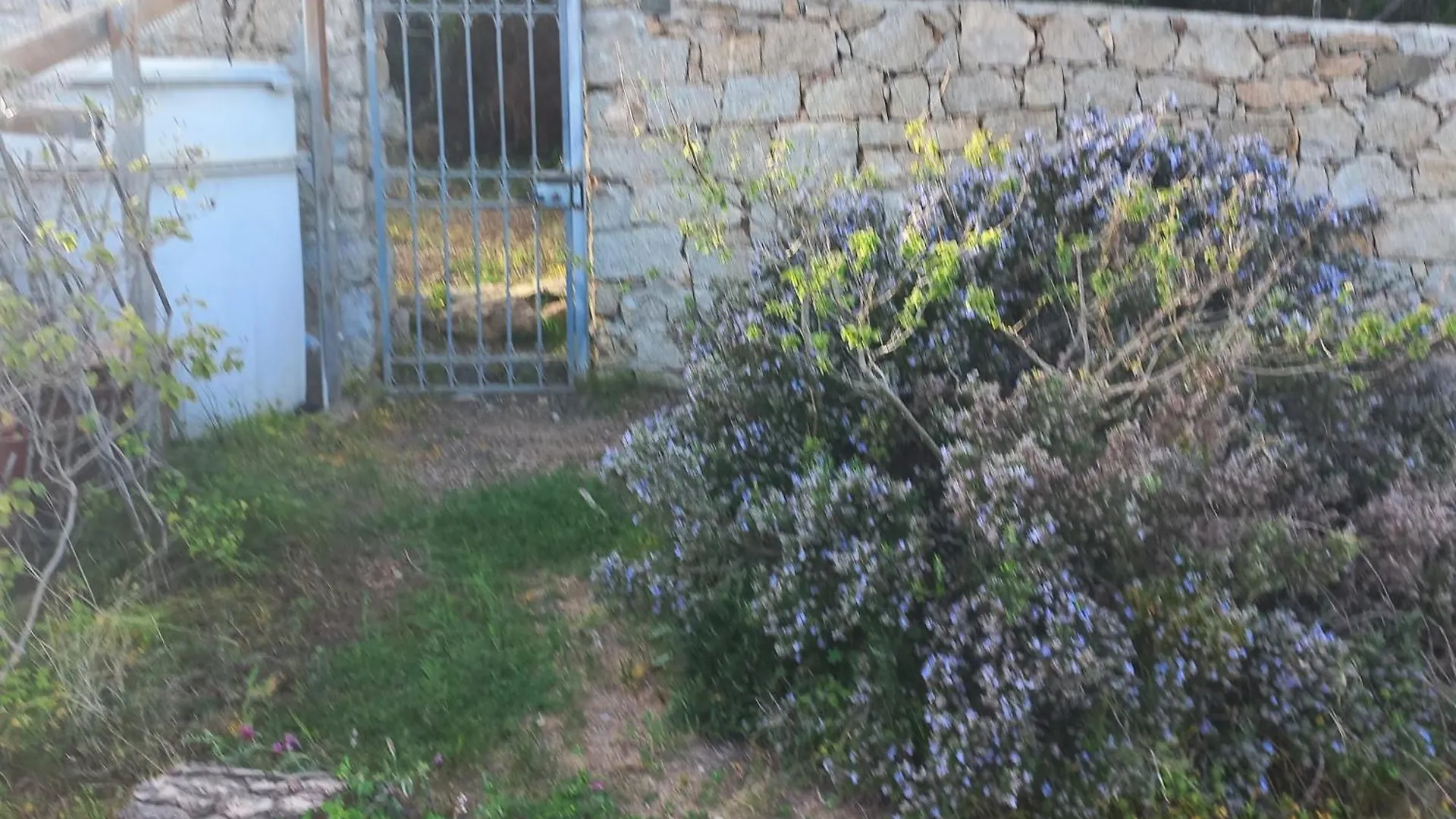 Semesterbostad Villa Graziella La Maddalena  Italien